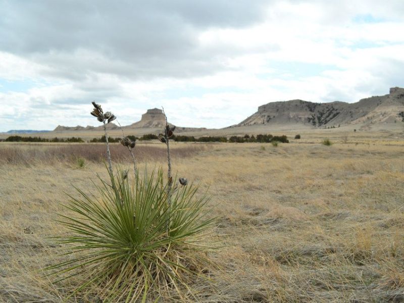 Chimney Rock and Scotts Bluff (March&nbsp;2013)
