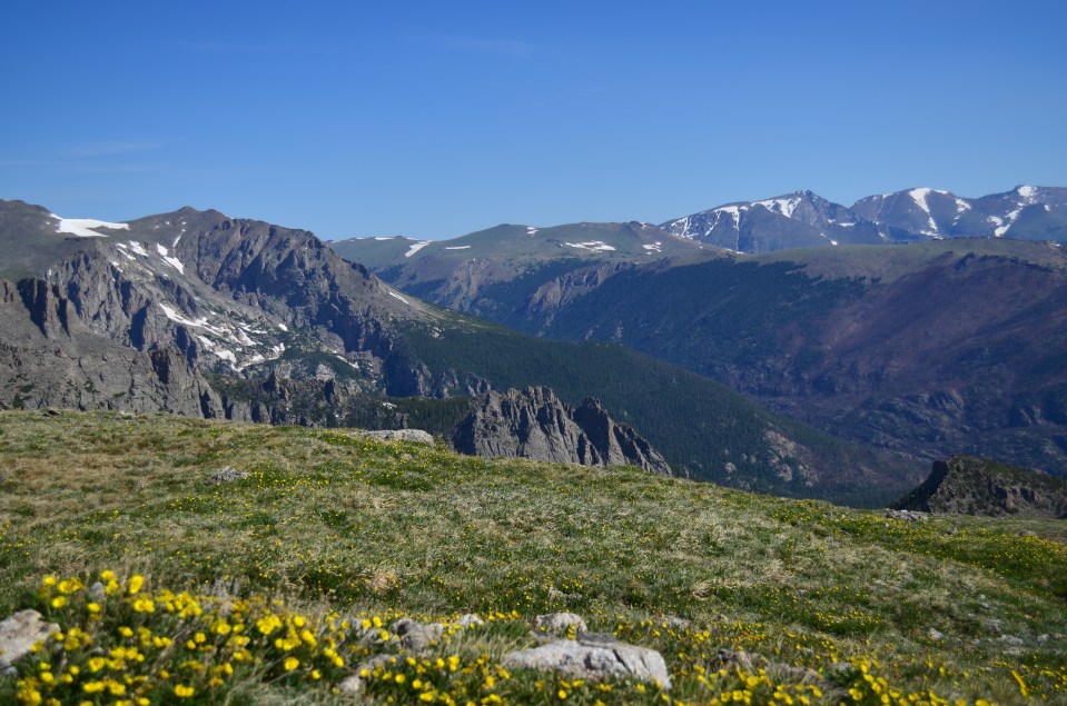 Views past the tree line