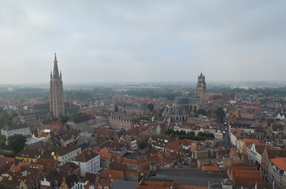 View from the top of the Belfort