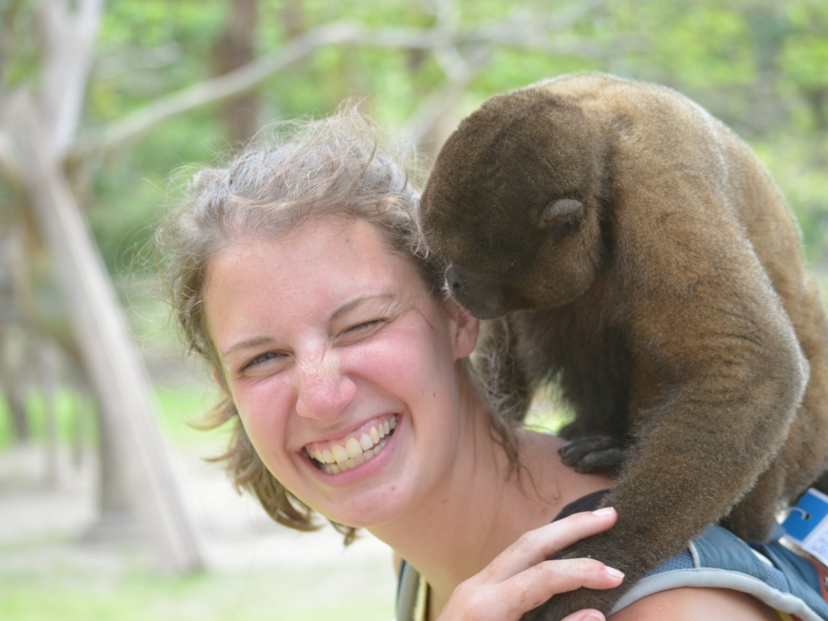 Isla de los Monos (Monkey&nbsp;Island)