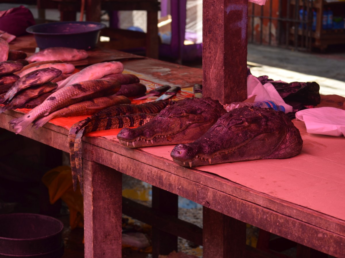 Belen- Iquitos, Peru. Not the typical tourist&nbsp;destination