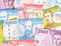 Final Expenses- Patagonia&nbsp;Chile